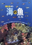 横浜の海の魚たち